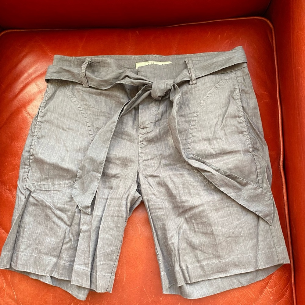 Level 99 | Rayon/Silk Shorts size 26
